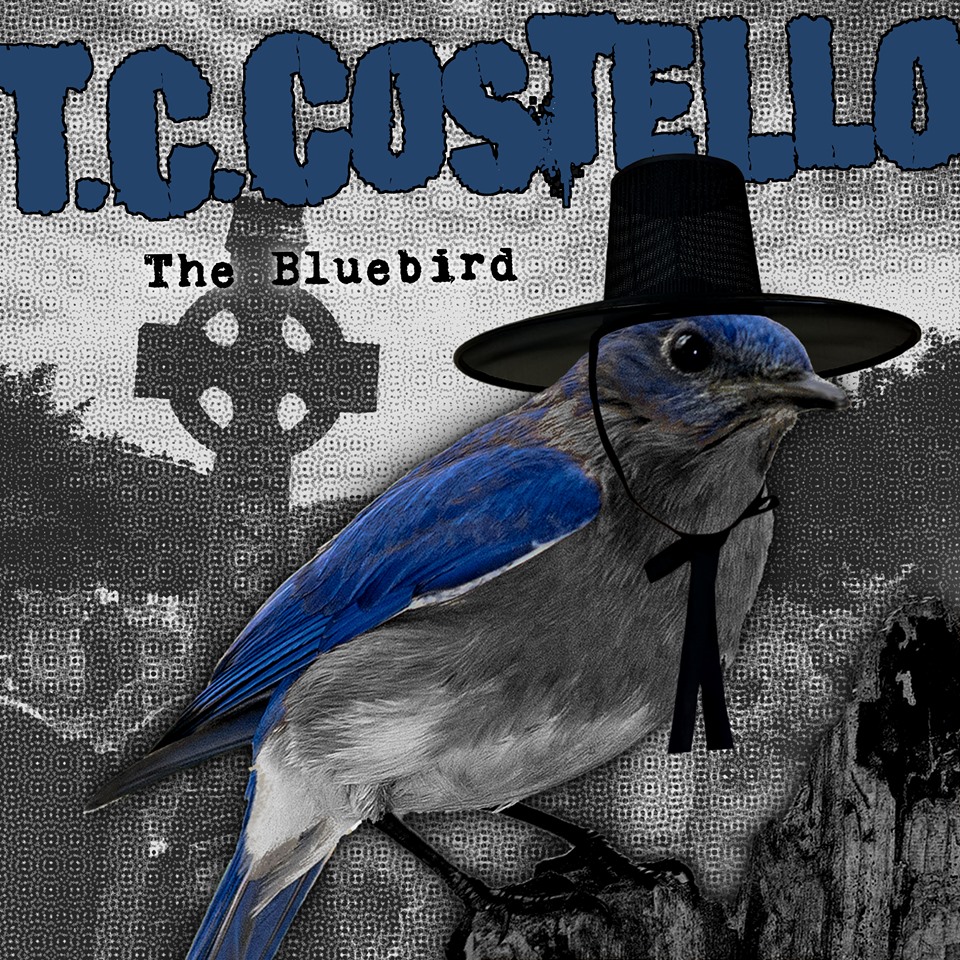 ALBUM REVIEW: T.C. COSTELLO- 'The Bluebird' (2020)